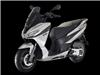 SXR 50 
