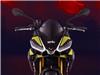 Tuono 660 Factory
