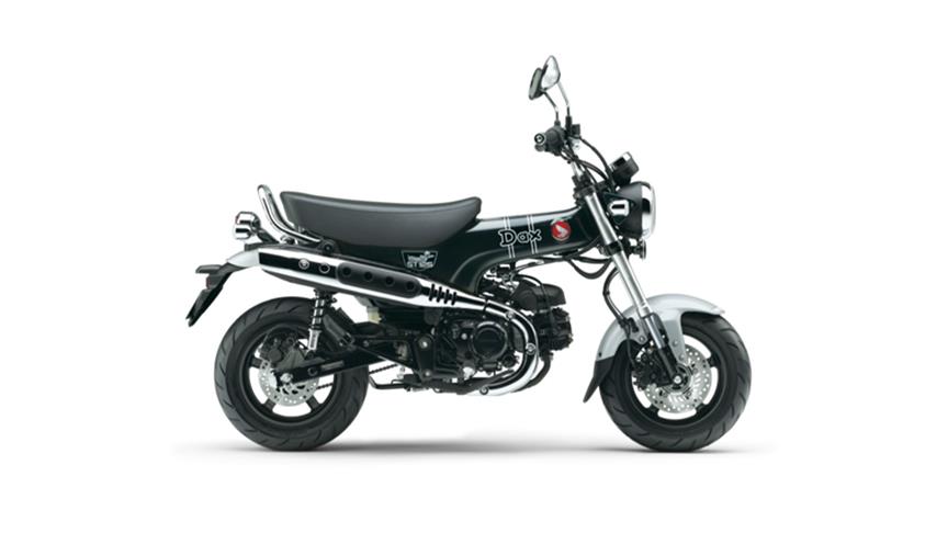 DAX 125 2025